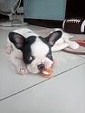 Post any pic anytime as many as u like-img_20190623_085756-jpg