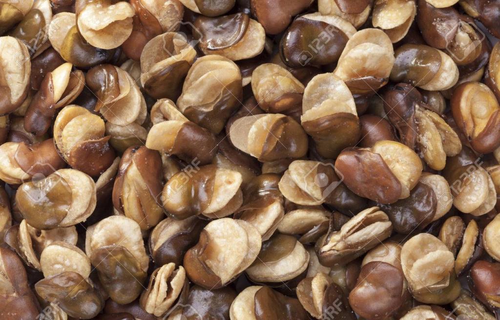 The WTF is this thread-29915644-roasted-broad-beans-salted-arrange