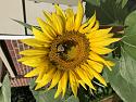 Post a photo a week, of anything/anywhere-img_3335-jpg