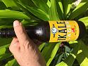 Post a photo a week, of anything/anywhere-img_2828-jpg