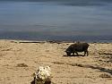 Post a photo a week, of anything/anywhere-img_2800-jpg