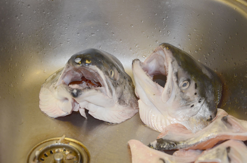 Post a photo a week, of anything/anywhere-fish-jpg