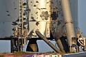 SpaceX - On to Mars-dsc_0017-2-jpg