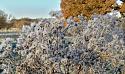 Post a photo a week, of anything/anywhere-bolloks2-jpg