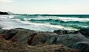 Post any pic anytime as many as u like-img_3698-jpg