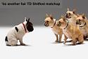 yo retro posters how are you all ?-dogs-jpeg