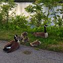 Post any pic anytime as many as u like-usuk8642-jpg