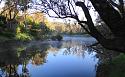Post a photo a week, of anything/anywhere-dsc00266-medium-jpg
