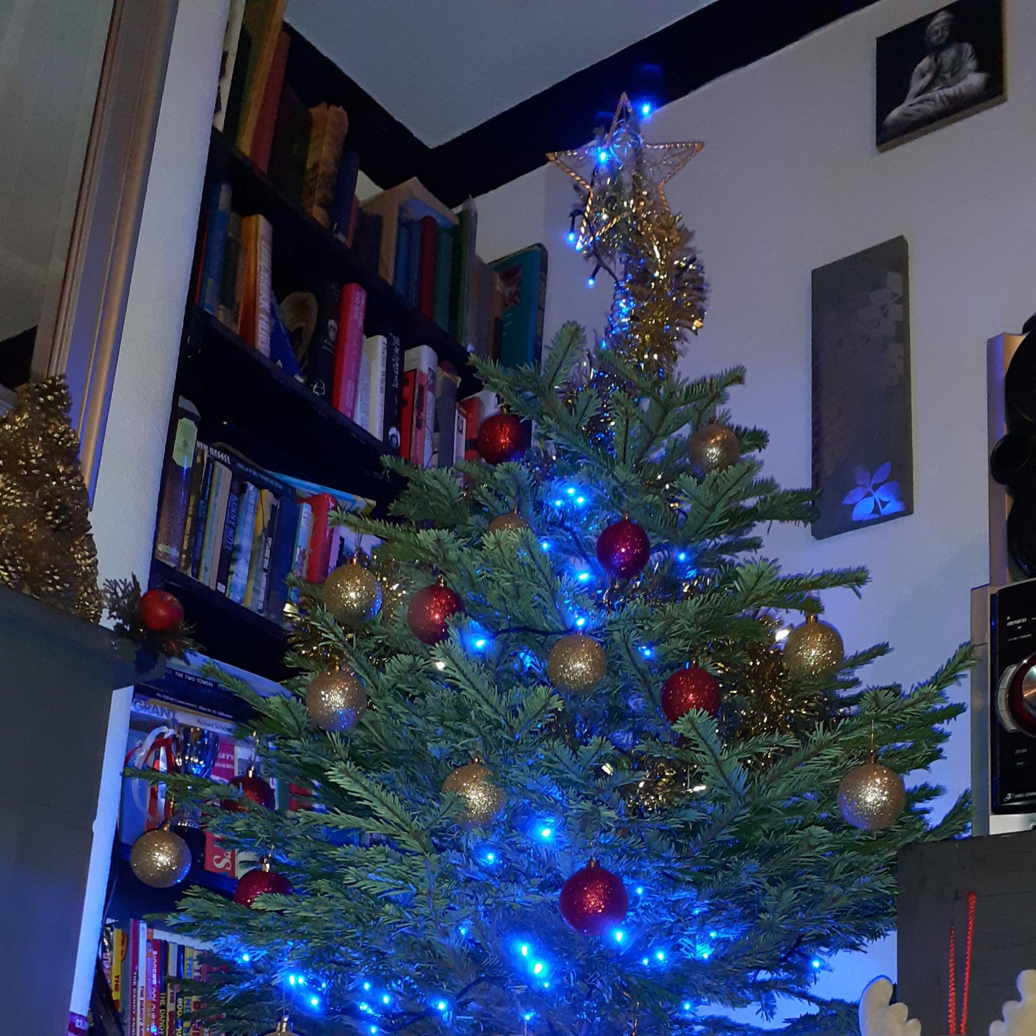 Show us your Christmas tree-20201203_165220-jpg
