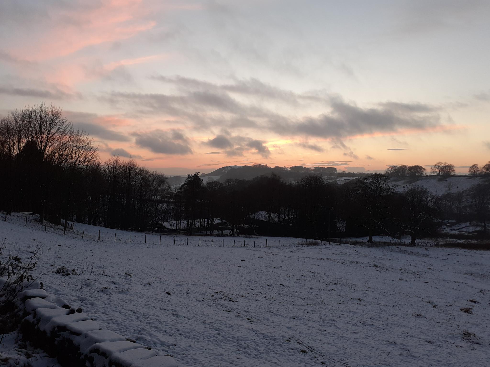 Post any pic anytime as many as u like-20201229_160236-jpg