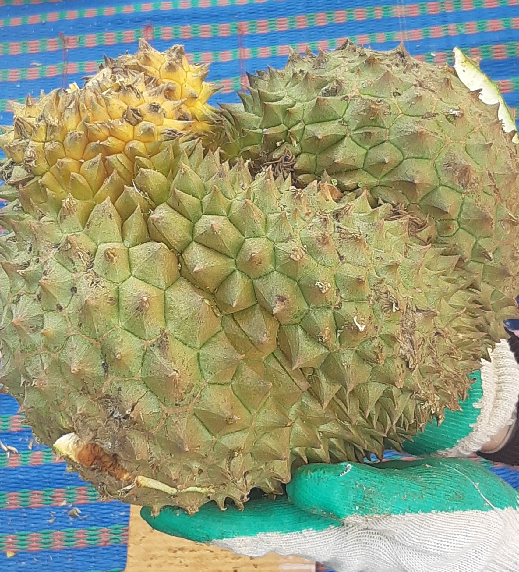 What it is?-durian-jpg