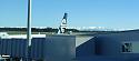 Post any pic anytime as many as u like-img_20210810_103724-2-jpg