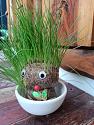 Watch Grass Grow With Armstrong-img20210911122120-jpg