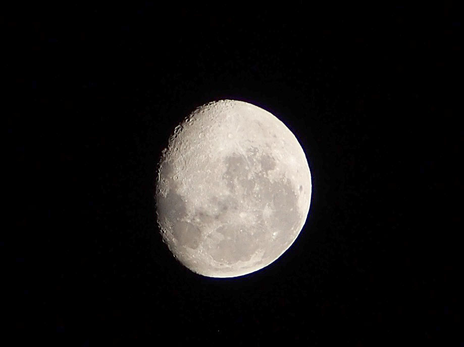 Post a photo you took yourself-p1010028crop-jpg