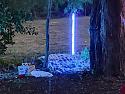 Post a photo you took yourself-neon-jpg