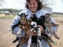 Please move out the way, this is an emergency-jen_with_baby_goats-jpg