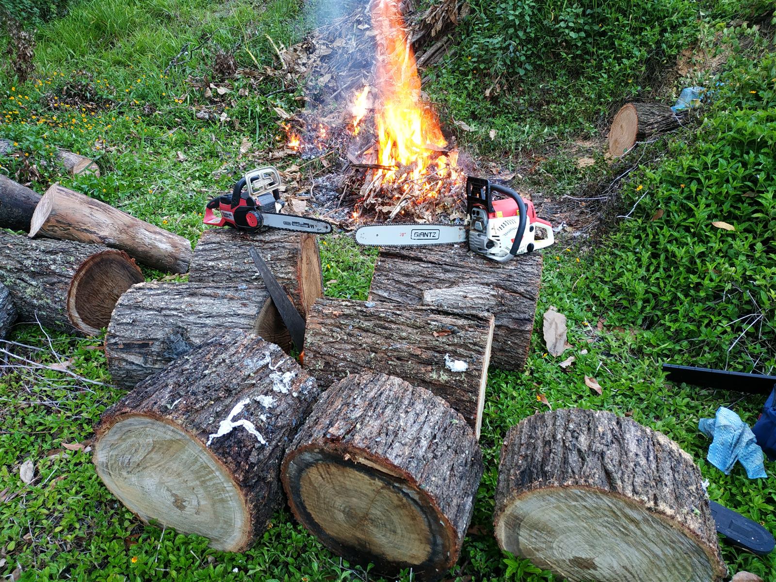 Post a photo you took yourself-img_20221207_201234-jpg