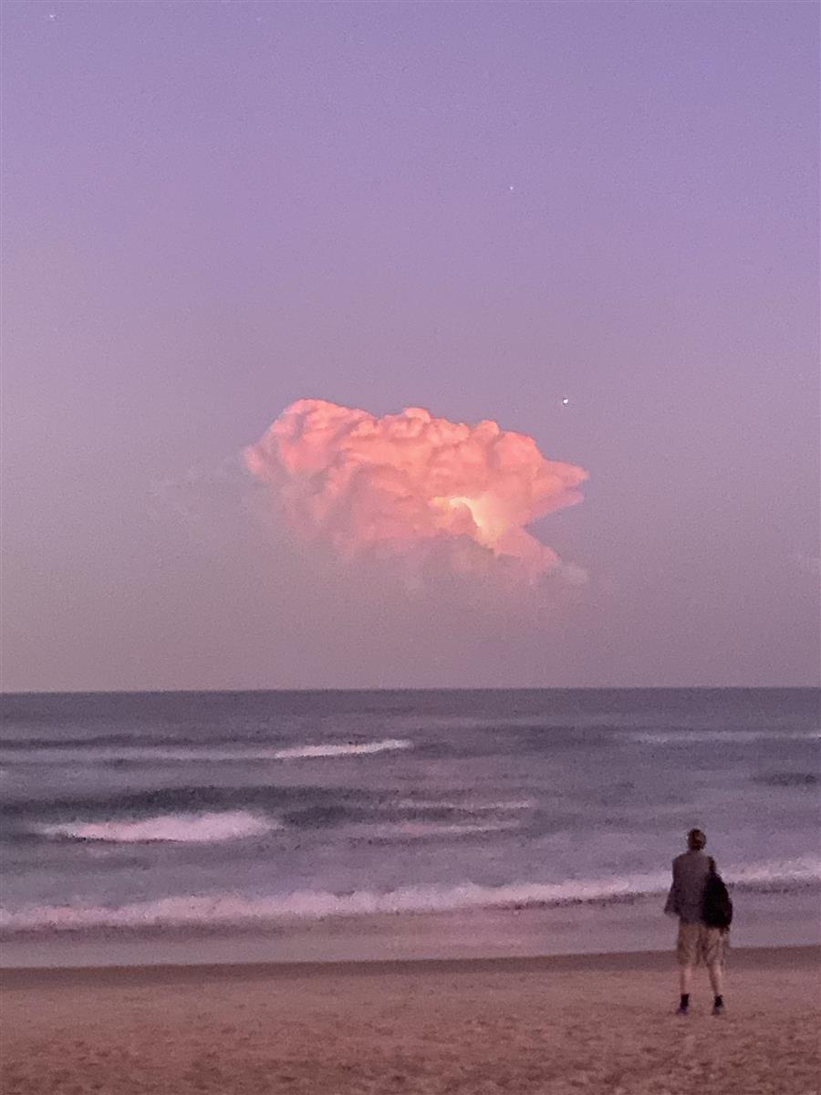 Post a photo you took yourself-save_20221208_233703-jpg