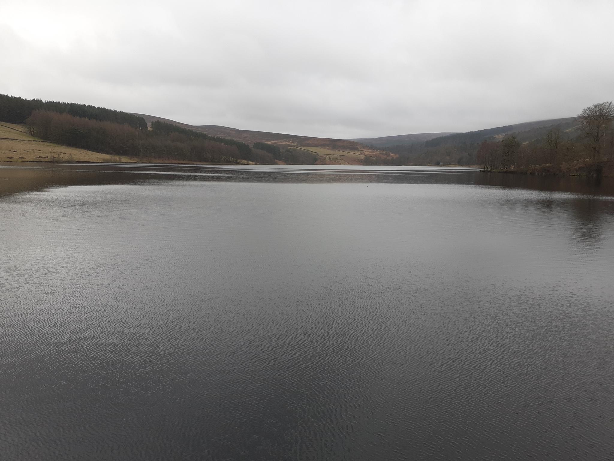 Post a photo you took yourself-20230211_092343-jpg