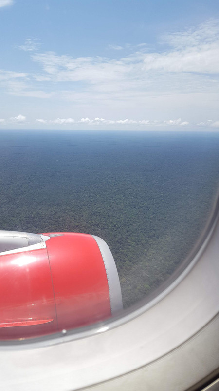 The Amazon-flight-2-jpg