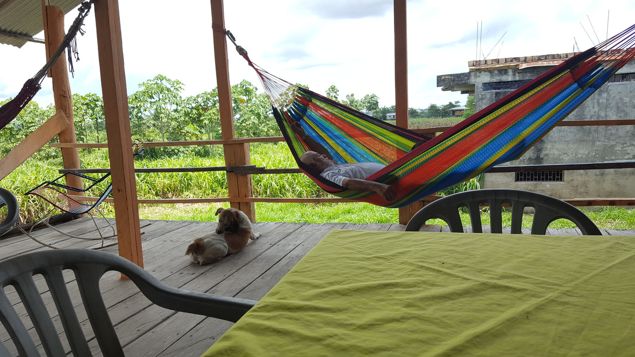 The Amazon-hammock-jpg