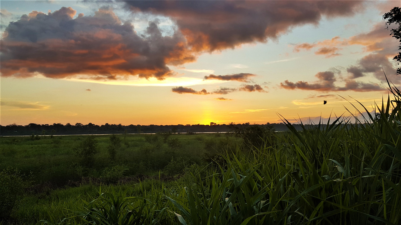 The Amazon-sunset-12-jpg