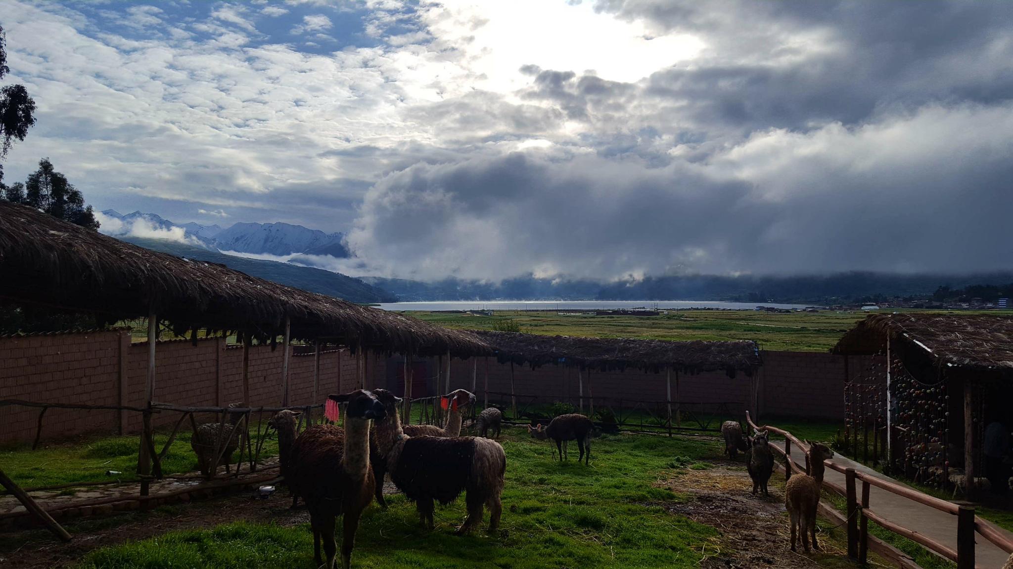 Peru: Lima, Cusco and Machu Picchu-mountains-lake-llama-jpg