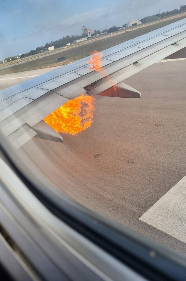 Airline News-90409351-13920237-image-m-31_1727953537181-jpg