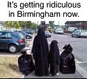 Bring out your Birminghams Brummie Bins-lkfdsok-jpg