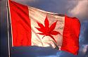 Canada Is About to Inhale the Global Pot Market-marijuana-flag-canada-jpg