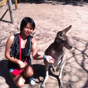 Starving mobs of kangaroos raiding Australian capital Canberra for food-dd-324-jpg