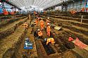 London's Euston railway station - digging up the Dead-10458724-3x2-940x627-jpg