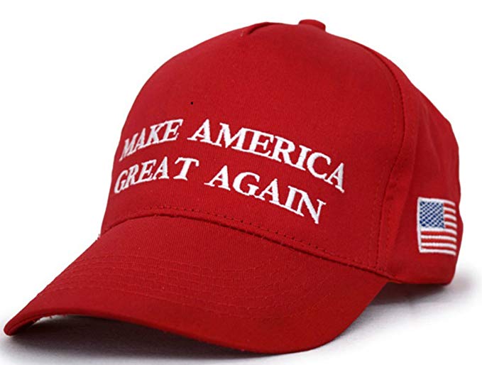 Build The Wall!!-61-ufs1kccl-_ux679_-jpg