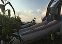 Photos of a miraculous emergency landing in a corn field outside Moscow-fc790bee-2fb1-4a9a-b20a-b5226d8e4c86-jpg