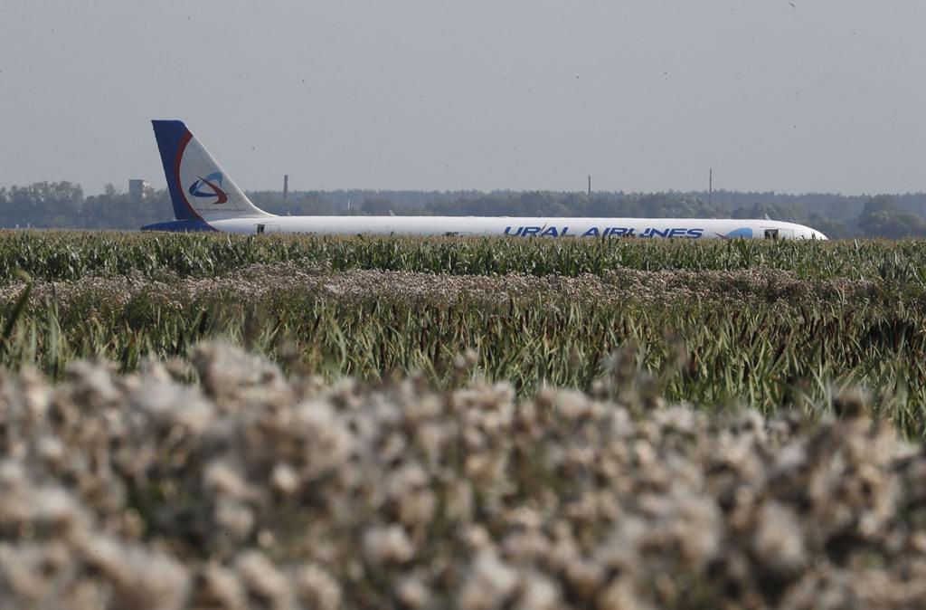 Photos of a miraculous emergency landing in a corn field outside Moscow-b87731fc-de9d-4161-a084-a2cfda3df19a-jpg