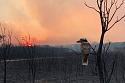 Australia bushfires leave three dead, at least 150 homes lost-11839060-3x2-700x467-jpg