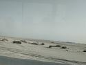 Oil Curse: Sooner Rather Than Later-khobar-commute-jpg