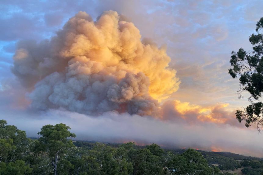 Australia bushfires leave three dead, at least 150 homes lost-13087534-3x2-xlarge-jpg