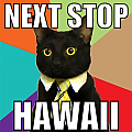 Hawaiian Cat's Avatar