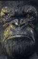 kingwilly's Avatar