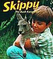 Skippy's Avatar