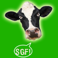 SuperGreatFantastic's Avatar