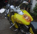 thaichi's Avatar