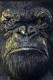 kingwilly