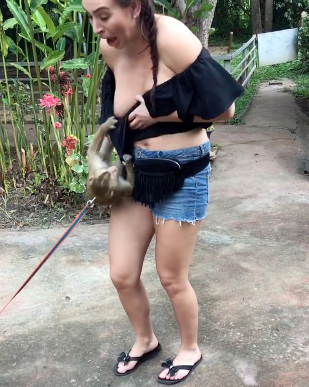 Cheeky monkey pulls down tourist's top exposing her boob on Thai holid...