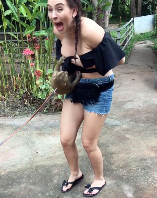 Cheeky monkey pulls down tourist's top exposing her boob on Thai holid...